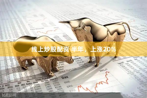 线上炒股配资 半年，上涨20%