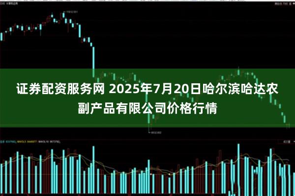 证券配资服务网 2025年7月20日哈尔滨哈达农副产品有限公司价格行情