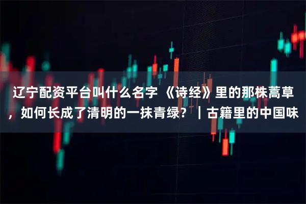 辽宁配资平台叫什么名字 《诗经》里的那株蒿草,如何长成了清明的一抹青绿?|古籍里的中国味